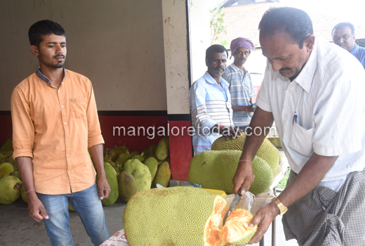 Fruit Mela